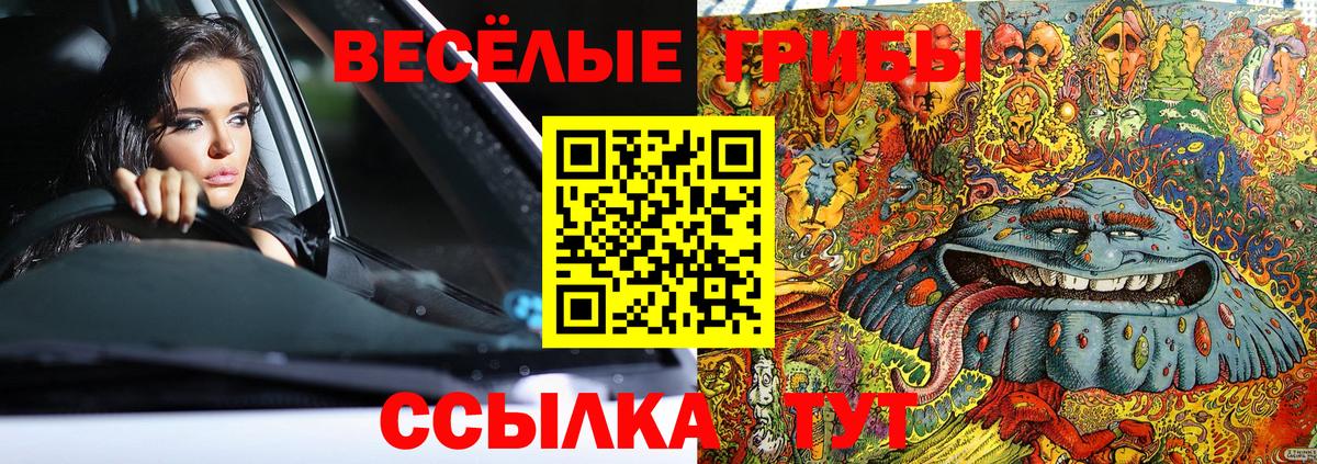 Псилоцибиновые грибы мицелий  Псилоцибиновые грибы Psilocybe  Соль-Илецк  Вход с VPN 