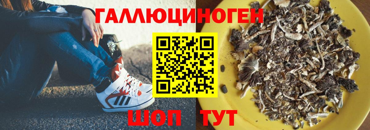 Галлюциногенные грибы Cubensis Соль-Илецк