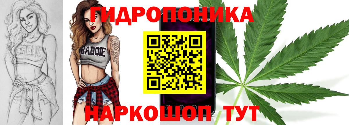 Соль-Илецк  Бошки марихуана семена  Каннабис LSD WEED  Вход с VPN 